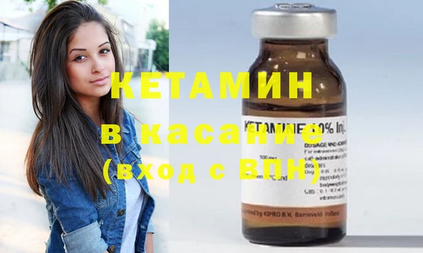 индика Богородицк