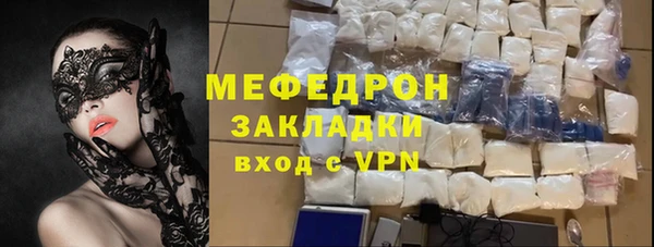 индика Богородицк