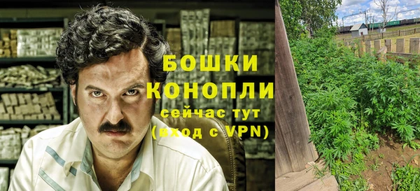 индика Богородицк