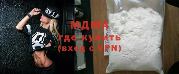 индика Богородицк