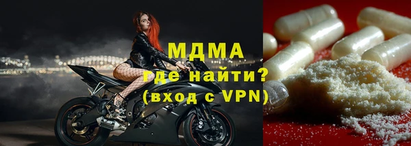 молекула духа Богданович