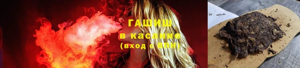 индика Богородицк