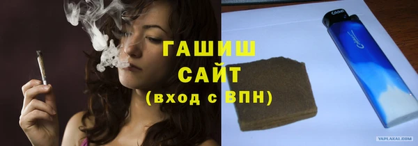 индика Богородицк