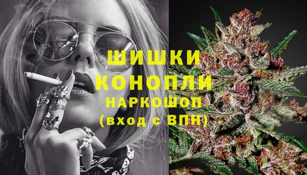 индика Богородицк