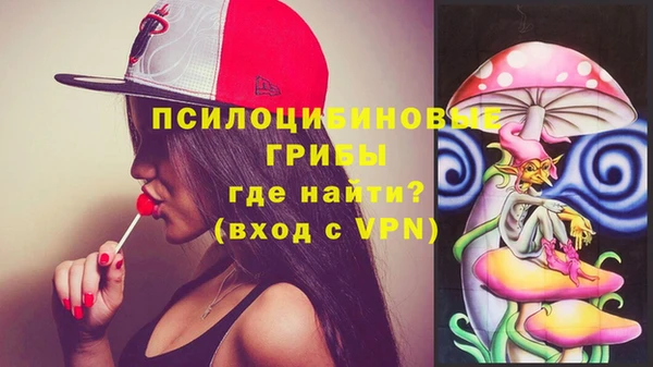 индика Богородицк