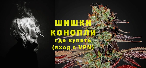 молекула духа Богданович