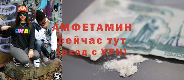 индика Богородицк