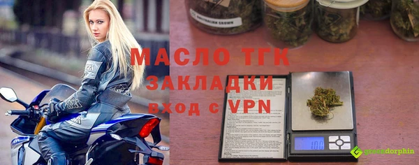 индика Богородицк
